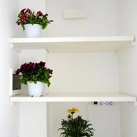 Athena Apartman Bari
